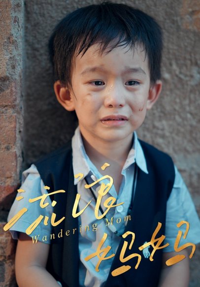 流浪妈妈（30集） 高清完整版