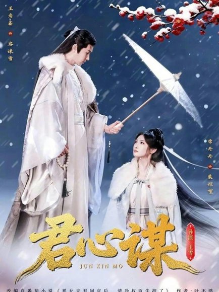 君心谋（80集）王彦鑫＆常丹丹 高清完整版